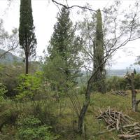 Land plot in Greece, Ionian Islands