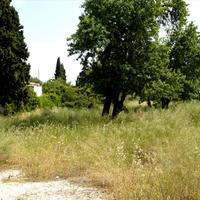 Земельный участок в Греции, Аттика, Афины