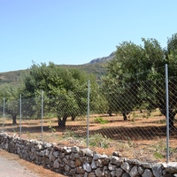 Land plot in Greece, Crete