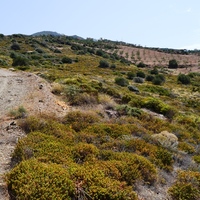 Land plot in Greece, Crete