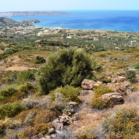 Land plot in Greece, Crete