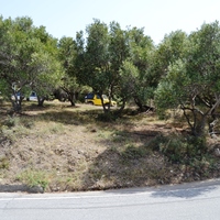 Land plot in Greece, Crete