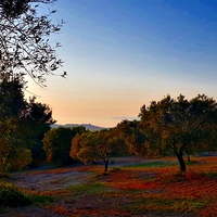 Земельный участок в Греции, Центральная Македония, Центр