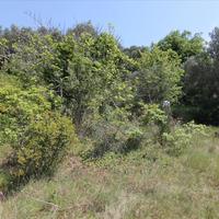 Земельный участок в Греции, Ионические острова