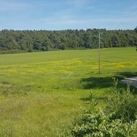 Земельный участок в Греции, Центральная Македония, Центр