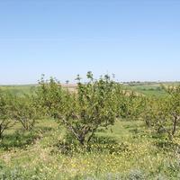 Земельный участок в Греции, Центральная Македония, Центр