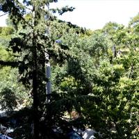 Flat in Greece, Attica, Athens, 49 sq.m.