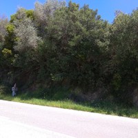 Land plot in Greece, Central Macedonia, Khal