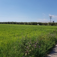 Land plot in Greece, Central Macedonia, Khal