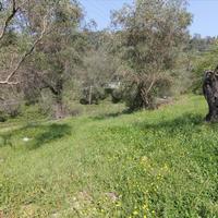 Land plot in Greece, Ionian Islands