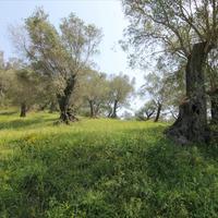 Land plot in Greece, Ionian Islands