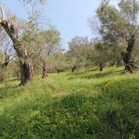 Land plot in Greece, Ionian Islands