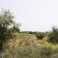 Land plot in Greece, Crete, Chania