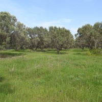 Земельный участок в Греции, Центральная Македония, Центр