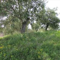 Земельный участок в Греции, Ионические острова