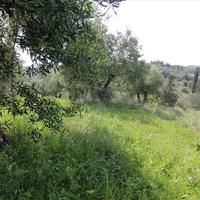 Земельный участок в Греции, Ионические острова