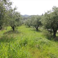 Земельный участок в Греции, Ионические острова