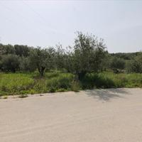 Земельный участок в Греции, Ионические острова