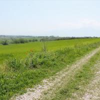 Земельный участок в Греции, Центральная Македония, Центр