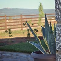 Hotel in Greece, Central Greece, Center, 305 sq.m.