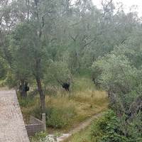 Other in Greece, Ionian Islands, 194 sq.m.