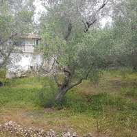 Other in Greece, Ionian Islands, 194 sq.m.