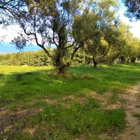 Земельный участок в Греции, Центральная Македония, Центр