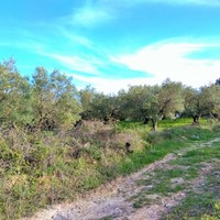 Земельный участок в Греции, Центральная Македония, Центр