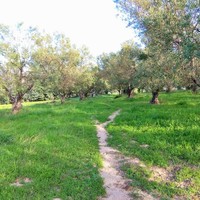 Земельный участок в Греции, Центральная Македония, Центр