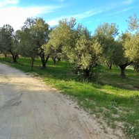 Земельный участок в Греции, Центральная Македония, Центр
