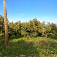 Земельный участок в Греции, Центральная Македония, Центр