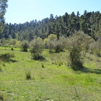 Земельный участок в Греции, Центральная Македония, Центр