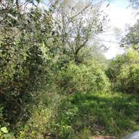 Земельный участок в Греции, Ионические острова