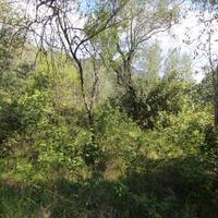 Земельный участок в Греции, Ионические острова