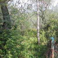 Земельный участок в Греции, Ионические острова