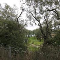 Земельный участок в Греции, Ионические острова