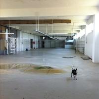 Business center in Greece, Rho, 800 sq.m.