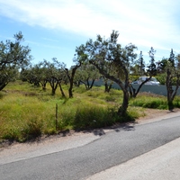 Земельный участок в Греции, Крит, Ираклион