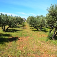 Земельный участок в Греции, Крит, Ираклион