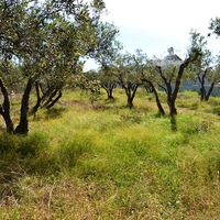 Земельный участок в Греции, Крит, Ираклион