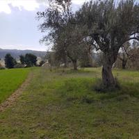 Земельный участок в Греции, Центральная Македония, Центр