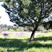 Villa in Greece, Central Macedonia, Center, 320 sq.m.