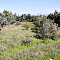 Villa in Greece, Central Macedonia, Center, 320 sq.m.