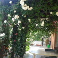 Flat in Greece, Central Macedonia, Center, 87 sq.m.