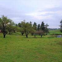 Other in Greece, Central Macedonia, Center, 400 sq.m.