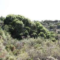 Land plot in Greece, Crete, Chania