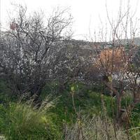 Land plot in Greece, Crete