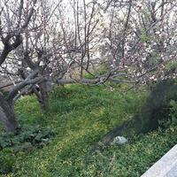 Land plot in Greece, Crete