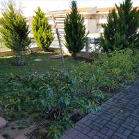 Квартира в Греции, Центральная Македония, Центр, 81 кв.м.