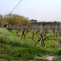 Земельный участок в Греции, Крит, Ираклион